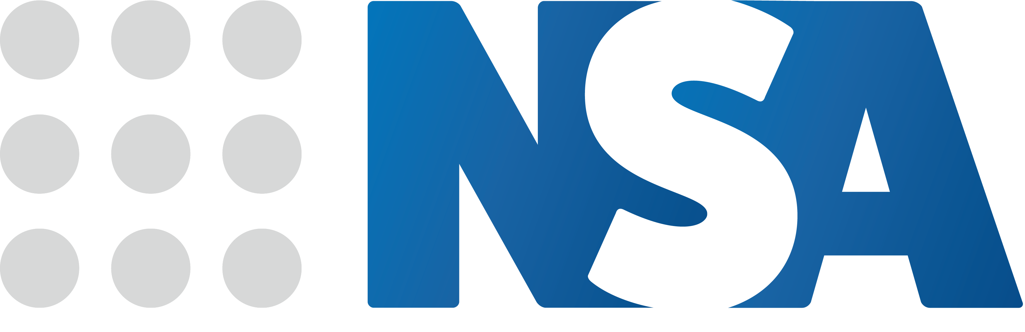 NSA Logo
